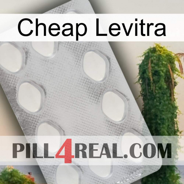 Cheap Levitra 16.jpg